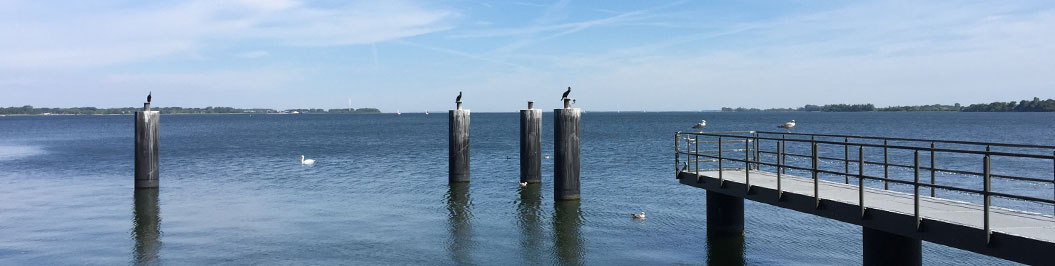 Taichi-Qigong Urlaub als Ferienkurs. Hier: Blick nach Altefähr